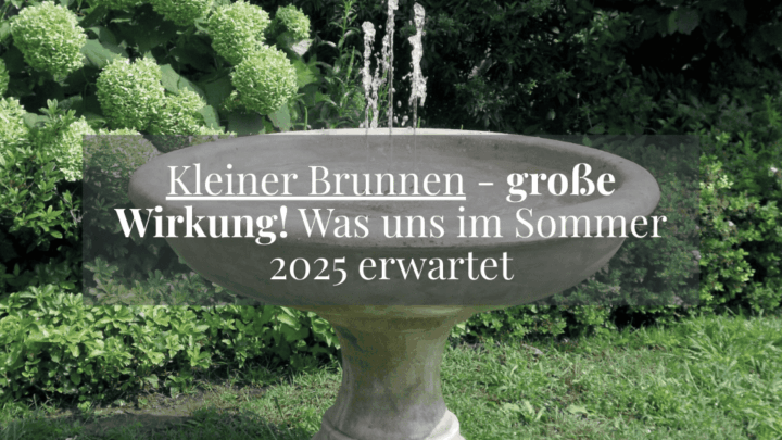 Heller kleiner Brunnen im Garten, Schriftzug "Kleiner Brunnen - große Wirkung! Was uns im Sommer 2025 erwartet"